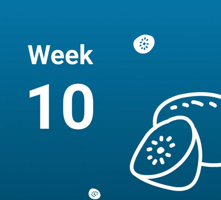 آشنایی با رخدادهای هفته دهم بارداری (هفته 10 حاملگی)
