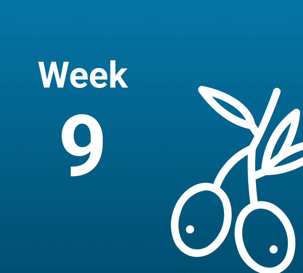 آشنایی با رخدادهای هفته نهم بارداری (هفته 9 حاملگی)