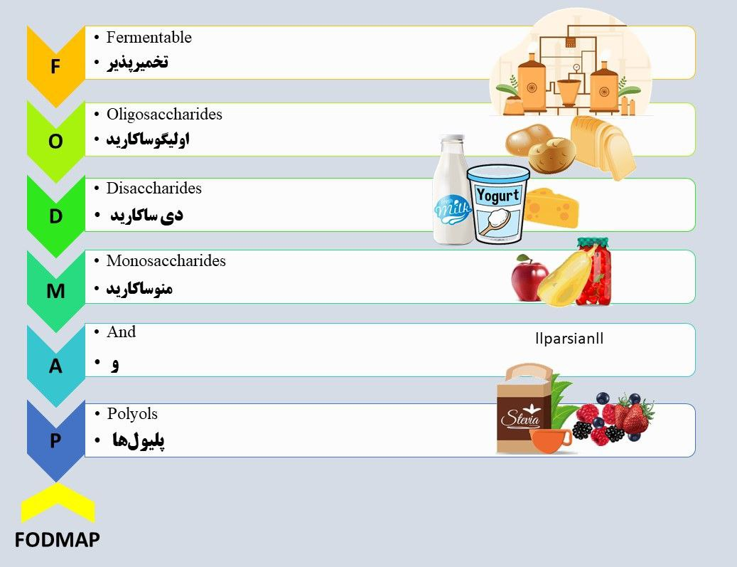 طبقه‌بندی غذاهای فودمپ پایین یا FODMAP کم 