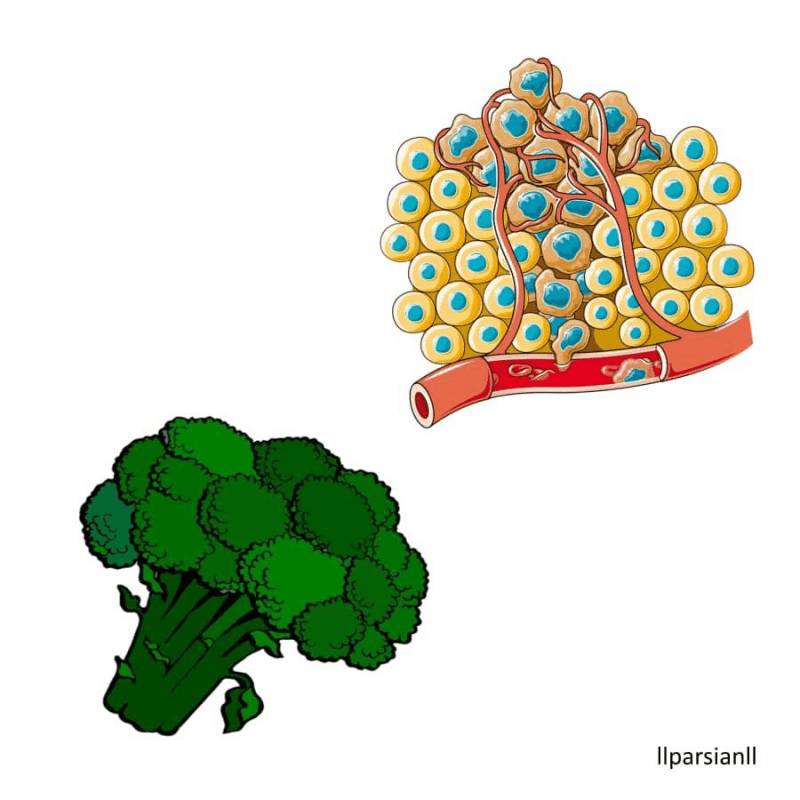 شباهت کلم بروکلی با سلول‌های سرطانی