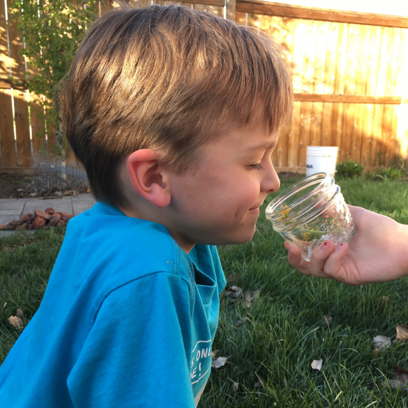 تمرین‌های برای تقویت حس بویایی در کودک